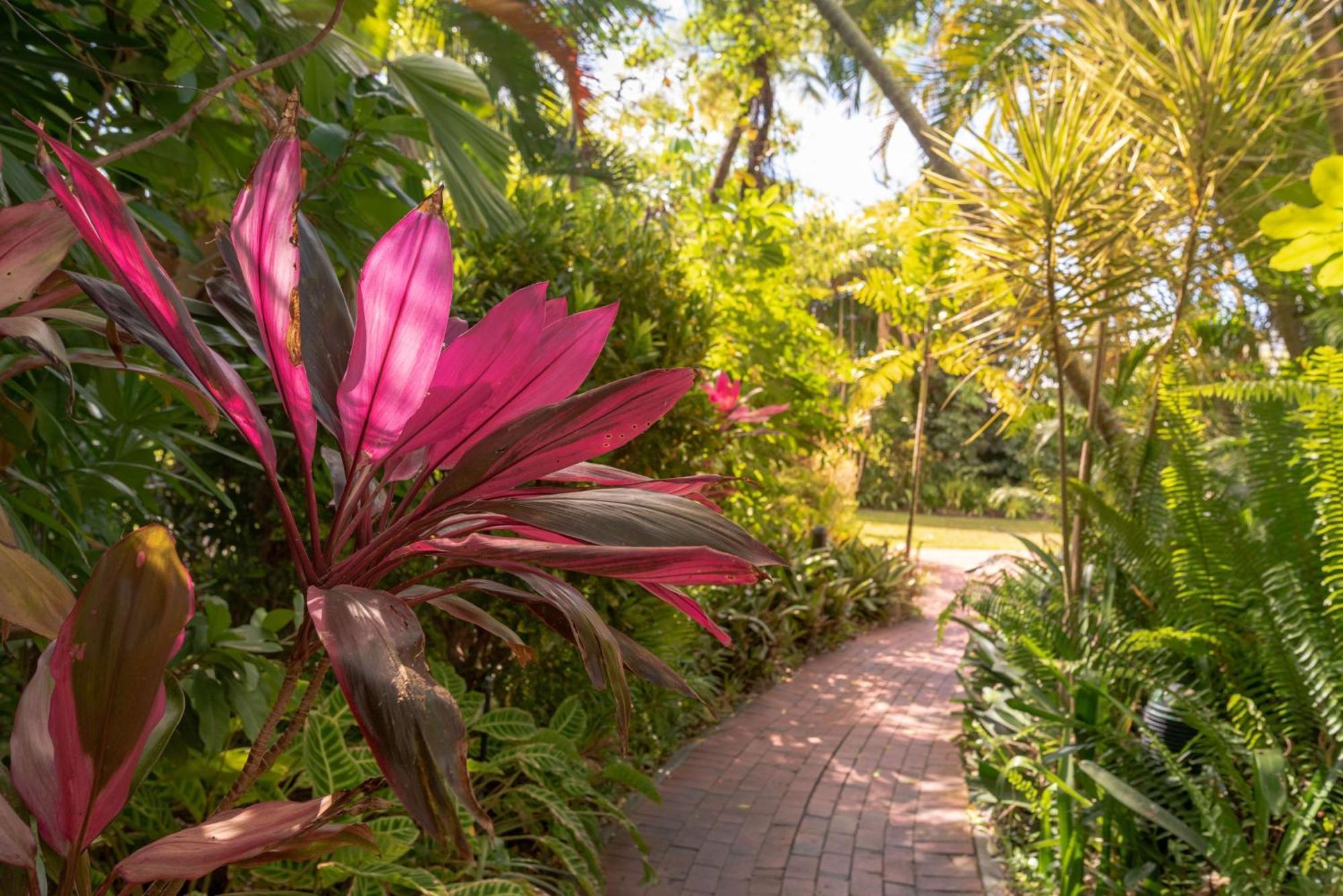 Hilton Cairns Hotel Exterior photo A path through the gardens